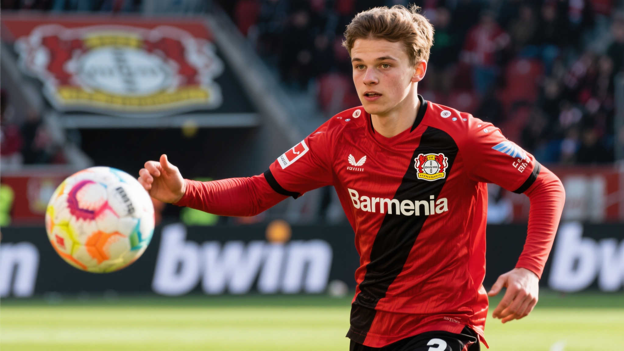 世界杯平台平台